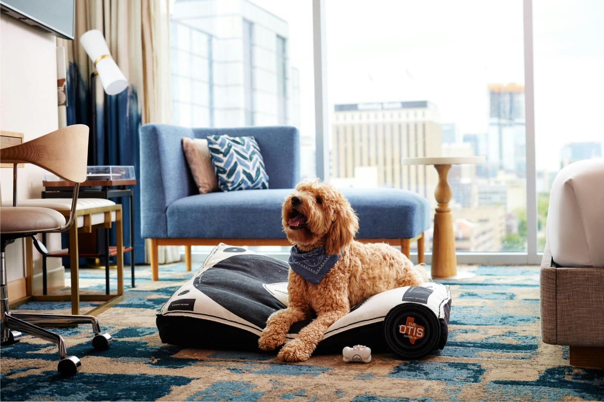 The Otis Hotel Austin, Autograph Collection Екстер'єр фото